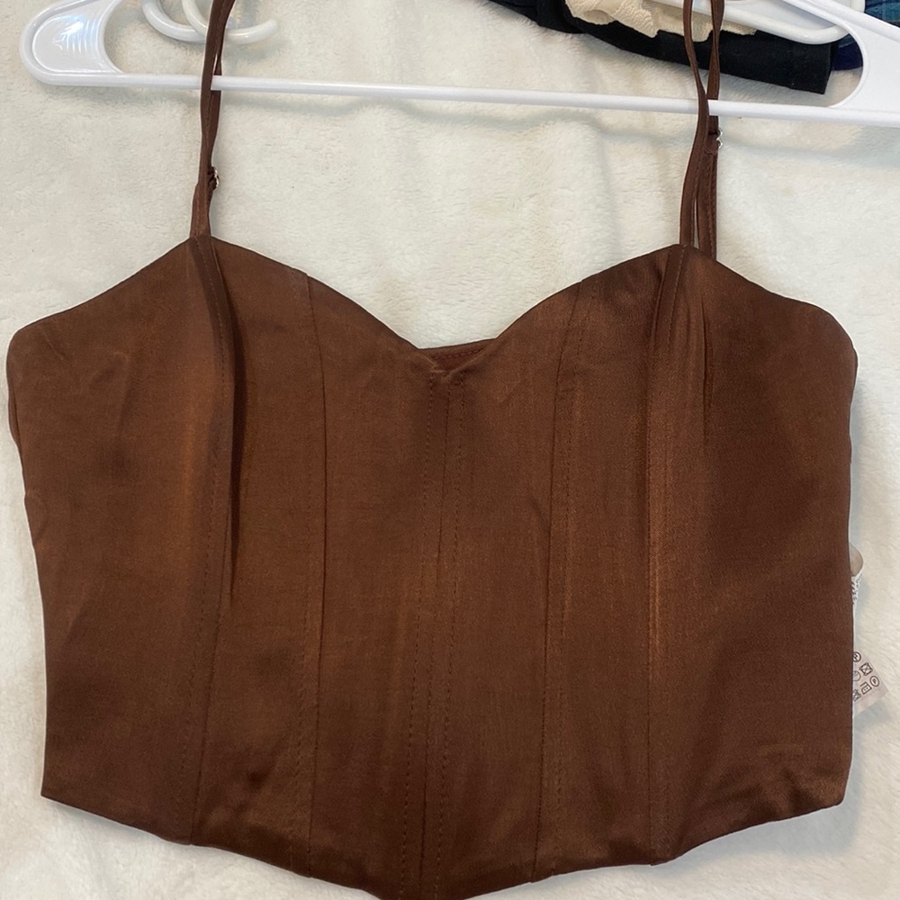 Brown corset-like Zara tank top :)